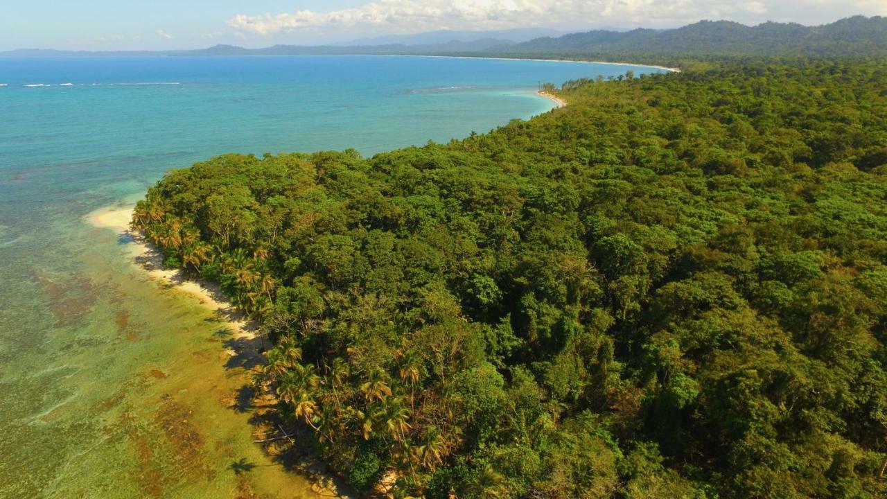 Lilan Nature, Modern House N°1, Private Swimming Pool. Cahuita Exterior foto